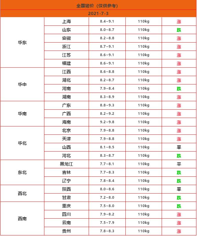 白茫茫 第6页