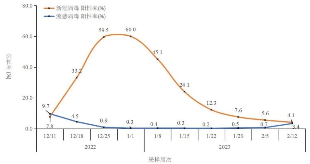 新冠病毒疫情最新传染,新冠病毒疫情最新传染动态分析