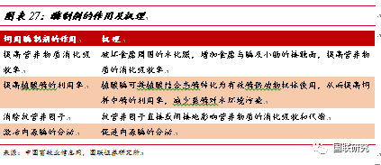 最准一尚一码100中特,最准一尚一码在中特领域的精准应用