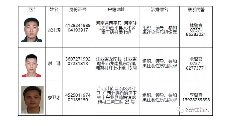 澳门免费公开资料最准的资料,澳门免费公开资料最准的资料，揭示犯罪与法律的博弈