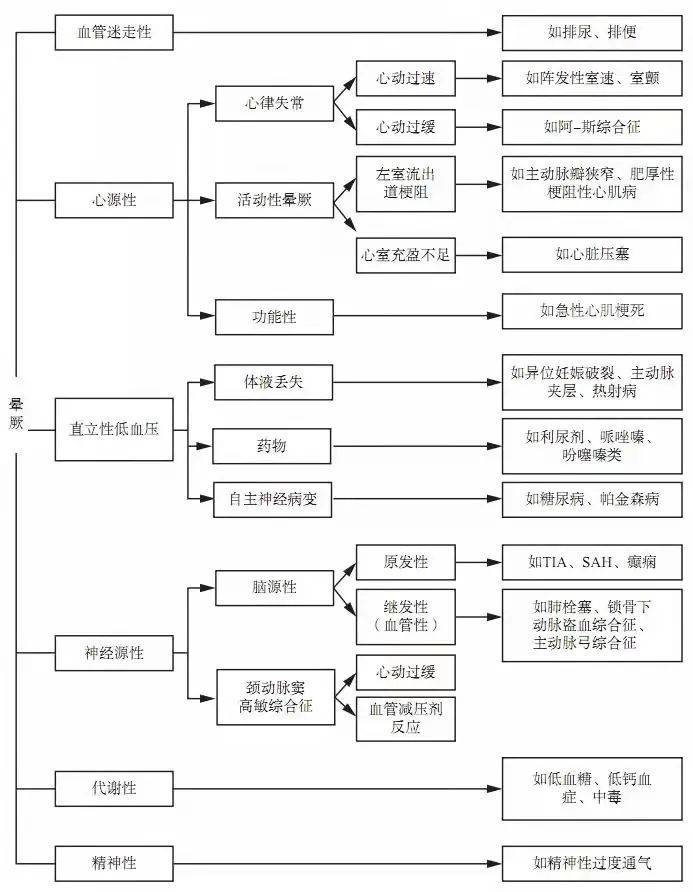 7777788888王中王中特,探索数字背后的秘密，王中王中特与数字世界中的神秘符号