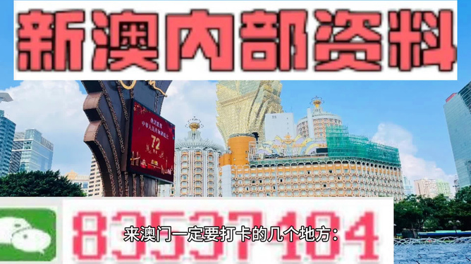 2024新澳资料免费精准051,探索未来，2024新澳资料免费精准指南（含关键词解析）