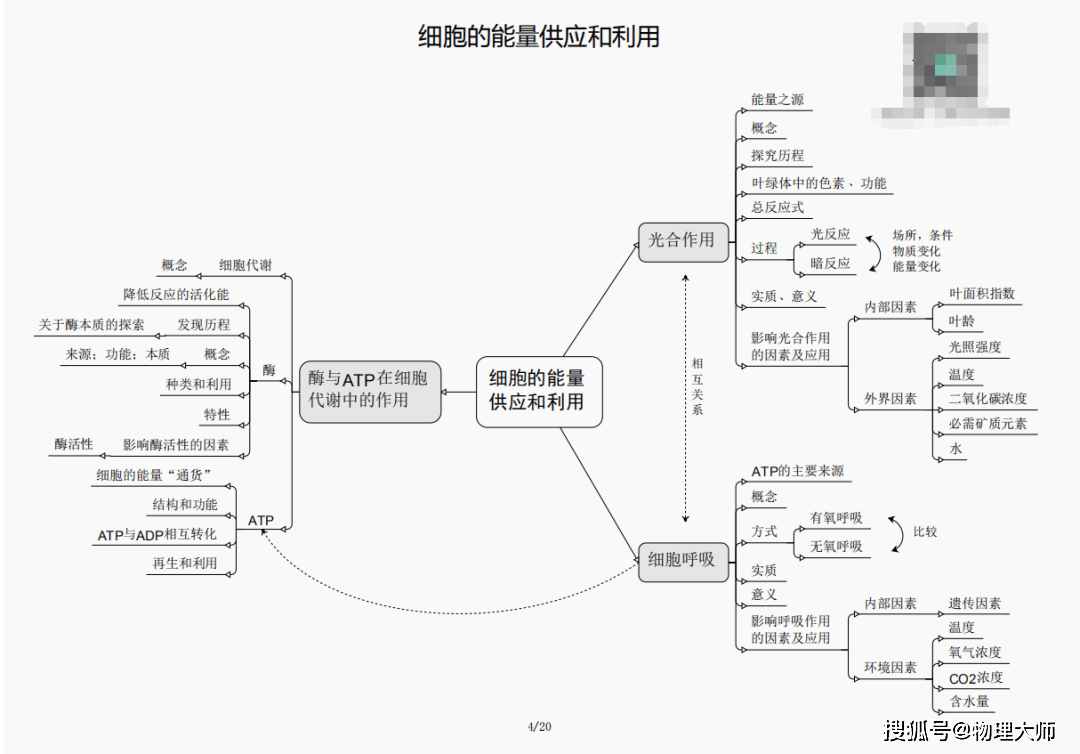 人仰马翻 第4页