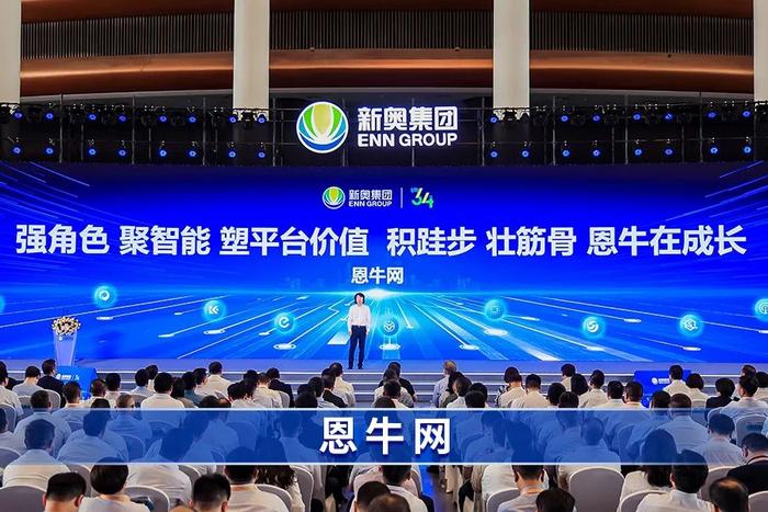 2024新奥精准资料大全,2024新奥精准资料大全，揭秘新奥的全方位发展与未来展望